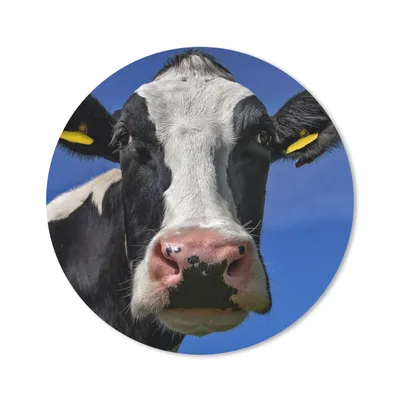 Produktbild von MuchoWow® Mauspad Mousepad Kuh - Blau - Tiere 50x50 cm - Mousepads - Maus Mat - Pad - Mausunterlage - Vinyl