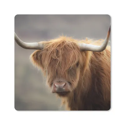 Produktbild von MuchoWow® Mauspad Mousepad Schottischer Highlander - Hörner - Haare 20x20 cm - Mousepads - Maus Mat - Pad - Mausunterlage - Desk Mat - Bureauartikeln