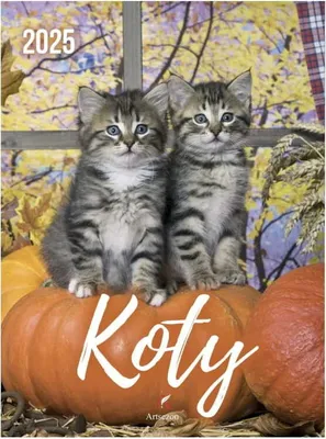 Produktbild von Mehrblättriger Kalender Cats 2025 Monatliche Verteilung B4 23x31cm