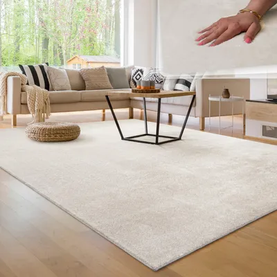 Produktbild von Moderner Wohnzimmer Teppich Kurzflor Waschbar Weich Felloptik Anti-Rutsch Grösse 300x400 cm