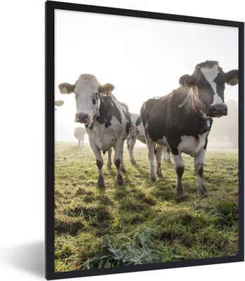Produktbild von MuchoWow® Gerahmtes Poster Kühe - Licht - Gras - Tiere 30x40 cm - Poster mit Schwarzem Bilderrahmen Wandposter Rahmen Foto Bilder - Wanddeko - Kunstdrucke