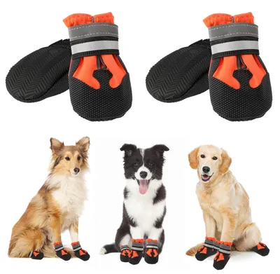 Image de Protection imperméable pour les pattes de chiens, lot de 4