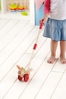 Produktbild von Hape Push & Pull Schmetterling, E0340