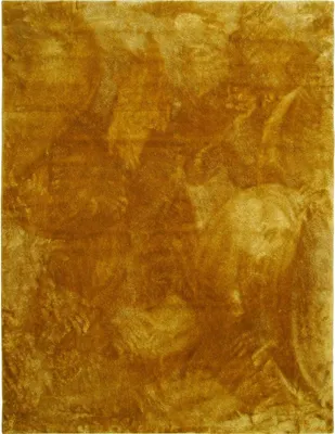Produktbild von Teppich aus Polyester in einfarbigem, 160x220, gelb