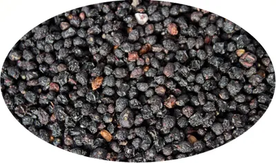 Imagen del producto de Eder Gewürze - Bayas de saúco - 1 kg