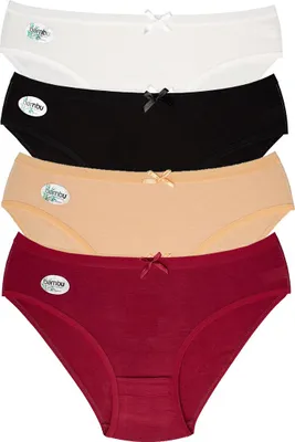 Produktbild von 4 Stück Slip aus Basics Damen Unterhose Panty Verschiedene Farben 1032