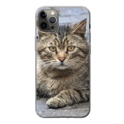 Produktbild von MuchoWow® Handyhülle Schutzhülle Hülle für iPhone 12 Pro Max Katze - Tier - Braun - Mädchen - Kinder - Jungen - Kind Silikon Softcase Handy Hülle - Hartschale