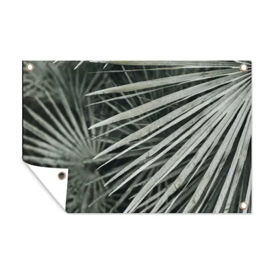 Obrázek produktu pro MuchoWow® Zahradní plakáty - Listy - zelené - palma - 60x90 cm - Zahradní dekorace