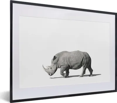 Produktbild von MuchoWow® MuchoWow® Gerahmtes Poster Rhinozeros - Tiere - Weiß 40x30 cm - Poster mit zchwarzem Bilderrahmen - Bilderrahmen - Poster im Rahmen