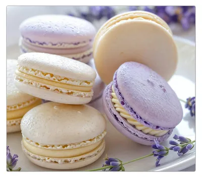 Produktbild von Spritzschutz Herdabdeckplatte Schneidebrett aus Glas Lavendel Macarons 1-Teilig (60x52cm)