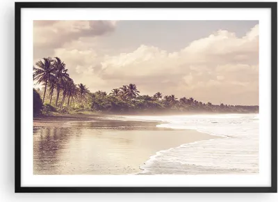Produktbild von Gerahmtes Poster - Schwarzer Rahmen - Palmen Strand Wasser - 70x50 cm - Wand Bild - Wanddeko - Wandbilder - Kunstposter - Wandposter - Bilderrahmen - Bilder - Kunstdruck - P2BAA70x50-4917