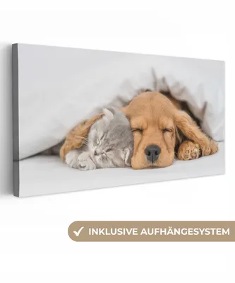 Obrázok produktu pre MuchoWow® - Plátno - Domáce zvieratá - Pes - Mačka - Deka, nástenná maľba, nástenné dekorácie obrazy obývacia izba, 40x20cm