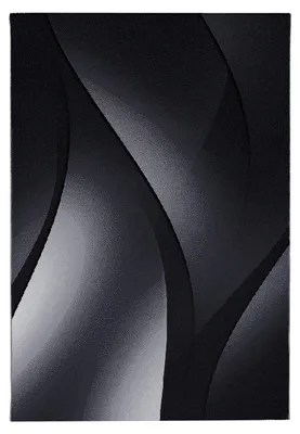 Produktbild von Kurzflor Teppich Pago rechteckig, Farbe: Schwarz, Größe:240x340 cm