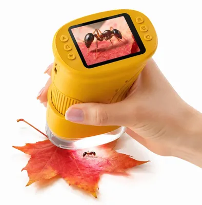 HD-Mikroskop 1080P, 2,0 Zoll Display, LED-Licht, Handmikroskop