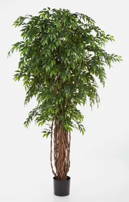 Produktbild von artplants.de Künstlicher Ficus ALIRIO, Lianenstamm, 2820 Blätter, grün, 180cm - Ficus im Topf - Kunst Ficus