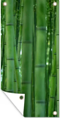 Produktbild von MuchoWow® 80x160 cm Outdoor-Poster Gartendeko Sichtschutz Garten Poster für den Garten  Arashiyama-Bambuswald aus der Nähe