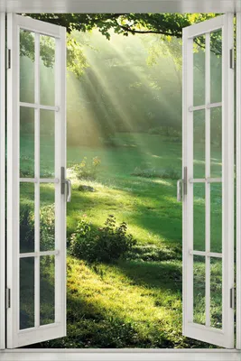 Produktbild von Wallario Poster mit Fenster-Illusion: Sonnenstrahlen im Wald, Größe: 100 x 150 cm