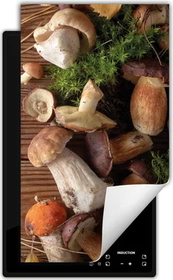 Produktbild von DarHaus Herdabdeckplatte 1 teilig 30x52 cm Anti Rutsch Matte Aufrollbar, Röhrlinge - Holz