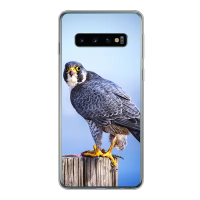 Produktbild von MuchoWow® Handyhülle Schutzhülle Hülle für Samsung Galaxy S10 Nahaufnahme eines Raubvogels auf einer dicken Holzstange Silikon Softcase Handy Hülle - Handytasche