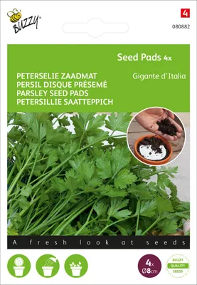 Produktbild von Petersillie Gigante d'Italia (Saatscheibe) | Petersiliensamen von Buzzy Seeds
