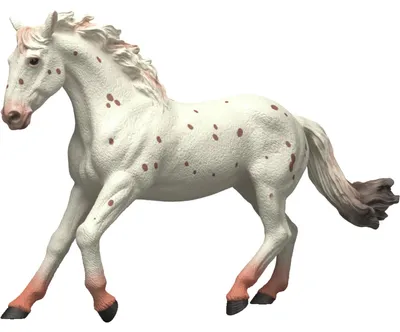 Immagine prodotto di Schleich GmbH Cavalla Knabstrupper Altro
