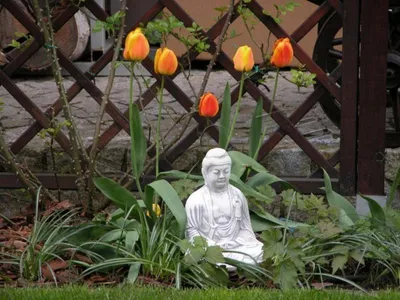 Obrázek produktu pro buddha malajsie socha postava zahradní postavy sochy sochařství sochy S101049