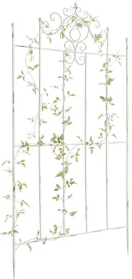Obrázok produktu pre Mriežka na popínavé rastliny Paula - 180 x 85,5 cm - Biela antik, Obrázok generovaný UI