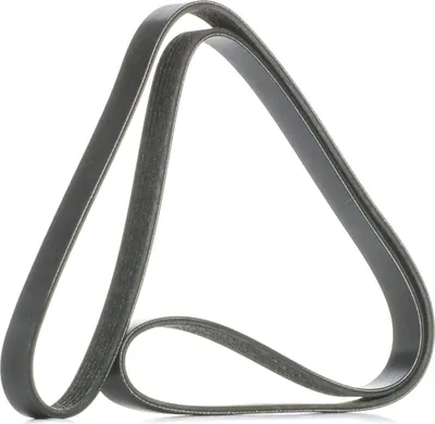 Produktbild von MAPCO Keilrippenriemen 1502mm für FORD Fiesta Mk6 Schrägheck (JA8, JR8) 261502