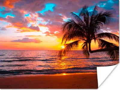 Produktbild von MuchoWow® Poster Palme - Sonnenuntergang - Strand - Meer - Horizont 160x120 cm - Foto Plakat