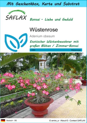 Produktbild von SAFLAX - Geschenk Set - Bonsai - Wüstenrose - 8 Samen - Mit Geschenk- / Versandbox, Versandaufkleber, Geschenkkarte und Anzuchtsubstrat - Adenium obesum