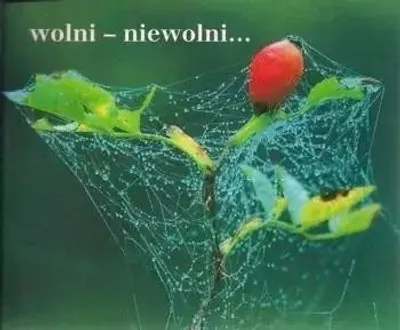 Produktbild von Perełka 068 - Wolni - niewolni... - praca zbiorowa