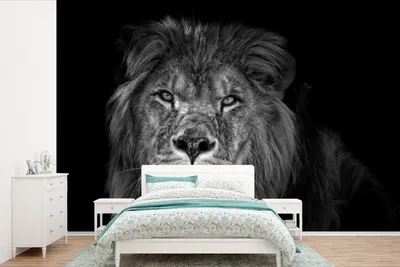 Produktbild von MuchoWow® Fototapete für Wohnzimmer oder Schlafzimmer Wandtapete Vinyl Motivtapete Nahaufnahme eines Löwen auf dunklem Hintergrund - schwarz und weiß - 390x260 cm - Papiertapete