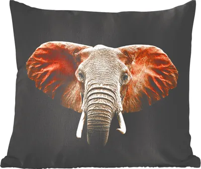 Produktbild von MuchoWow® Zierkissen Sofakissen Wohnzimmer Dekokissen 45x45 cm Elefant - Tiere - Farben - Schlafpolster - Polster für das Sofa