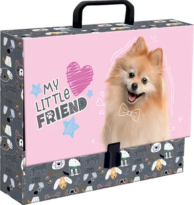 Zdjęcie produktu dla Teczka z rączką A4 9cm Sweet Pomeranian My Little Friend Majewski