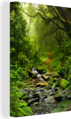 Produktbild von OneMillionCanvasses® - Leinwandbilder - 90x140 cm, Natur - Wasser - Dschungel - Wald - Tropisch, Wandbilder Kunstdruck Wanddekoration - Foto auf Leinwand - Gemälde auf Holzrahmen  - Wandschmucke - Schlafzimmer