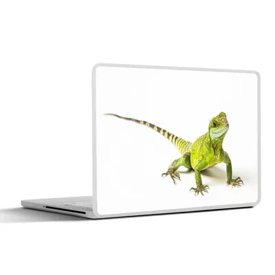 Produktbild von MuchoWow® Laptop Aufkleber Sticker Cover Eidechse - Reptil - Weiß 40x30 cm - Laptop Dekoration - Selbstklebend