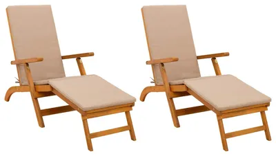 Immagine prodotto di vidaXL Sdraio regolabile e pieghevole, 2 pezzi, 55 x 146 x 91 cm