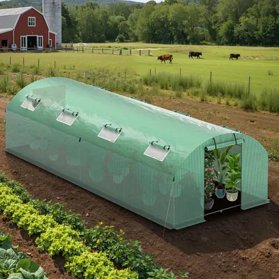 Image de Serre Ikodm, serre à tomates avec porte et 8 fenêtres, 300 x 800 x 200 cm, verte