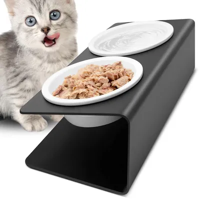 Immagine prodotto di Ciotole rialzate per gatti, set da 2, in Vetroceramica con supporto in metallo, distributore di cibo per gatti, cani e cuccioli