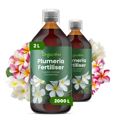 Obrázek produktu pro Frangipani Tekuté Hnojivo 2x1 L – 3-4-3 NPK – Pro Plumeria – Podporuje Kontinuálne Kvetení & Vitálny Růst – Organifer