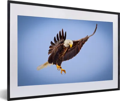 Produktbild von MuchoWow® MuchoWow® Gerahmtes Poster Ein Weißkopfseeadler am blauen Himmel 60x40 cm - Poster mit zchwarzem Bilderrahmen - Schlafzimmer - Plakat in Rahmen - Drucken