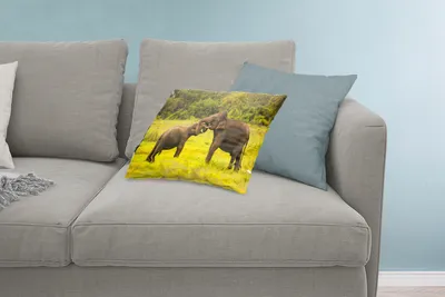 Produktbild von MuchoWow® Zierkissen Sofakissen Wohnzimmer Dekokissen 60x40 cm Elefant - Gras - Tiere - Grün - Kopfkissen - Polster mit Foto