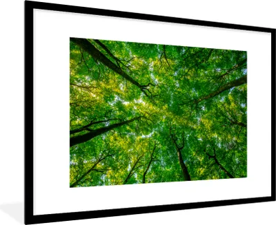 Produktbild von MuchoWow® MuchoWow® Gerahmtes Poster Wald - Bäume - Grün 90x60 cm - Poster mit zchwarzem Bilderrahmen - Wanddekoration - Fotos