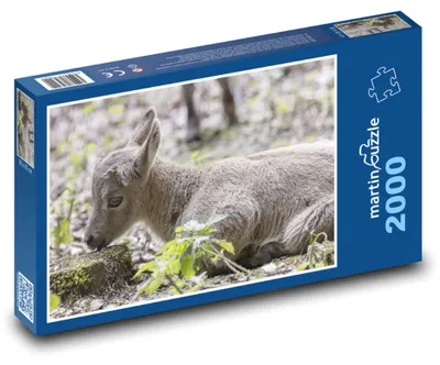 Produktbild von martinpuzzle - Puzzle 2000 Teile - Steinbockjunges