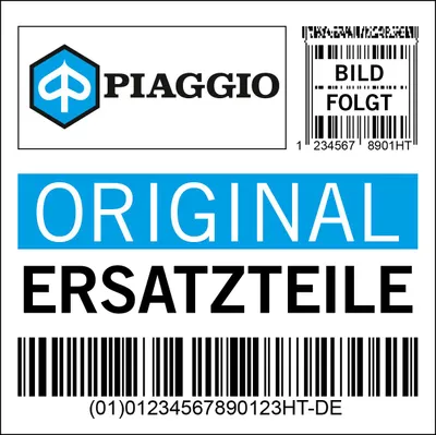Produktbild von Spritzschutz Piaggio Schmutzfänger für Carnaby 300, 655650
