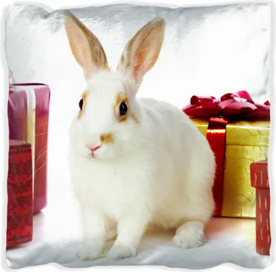 Produktbild von Wallario Premium Kissen, weiche Oberfläche, mit Motiv Süßes Kaninchen mit bunten Geschenken, Größe: 60 x 60 cm, mit weißer Rückseite