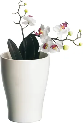 Zdjęcie produktu dla scheurich ORCH.TOPF doniczka do orchidei "Panna" 42120 H17cm Panna