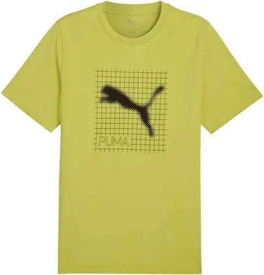 Produktbild von T-Shirt Puma 684607-35 für Herren