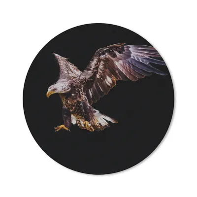 Produktbild von MuchoWow® Mauspad Mousepad Adler - Vogel - Federn 40x40 cm - Mousepads - Maus Mat - Pad - Mausunterlage - Schreibtisch Accessoires