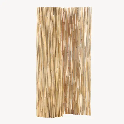 Produktbild von Schilfzaun ‘Abbateggio’ 90 x 600 cm Natur